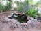 Yard Pond Amidst River Rocks and Plants