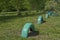 Yard territory is planted with trees, decorated with old car tires painted in green, yellow, blue and red on background of grass