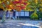 Yard of Tradtional Wooden Shinto Shrine With Seasonal Red Maple Trees At Koyasan Mountain At Fall
