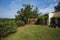 Yard with trees and palms / palm trees, summer mediterranean climate