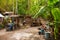 Yard. The usual local rural house in Apo island, Philippines