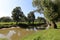 Yarkon River and Park in Tel Aviv