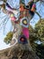 Yarn bombed tree