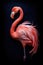 Yarn painting of a flamingo created with Generative Al technology