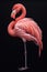 Yarn painting of a flamingo created with Generative Al technology