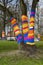 Yarnbombing on trees in Kaliningrad, Russia