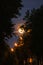 Yaroslavl. Beautiful moonlit night. Full moon. Bright moon behind the trees
