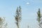 Yaroslavl region, Russia, May 11, 2013. Skydiver on a background of blue sky