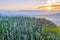 Yarra Ranges National Park at sunset.