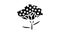 yarrow plant glyph icon animation