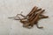 Yarsagumba Cordyceps sinensis / Ophiocordyceps sinensis belonging to Ophiocordycipitaceae f