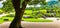 YASUGI, SHIMANE / JAPAN â€“ MAY 25, 2010: View of a tree and