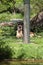 Yawning lioness in the zoo