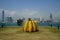 Yayoi Kusama`s big dotted pumpkin sculpture in hong kong