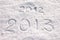 Year 2013 written in snow