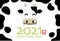 The Year 2021, Year of the Ox, New Yearâ€™s Greeting Card Vector Template With A Smiling Ox And Holstein Pattern.