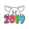 Year Of the pig - 2019 chinese new year