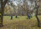 Yekaterinburg, Sverdlovsk Russia - 10 19 2018: The younger school children play in an autumn park