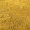 Yellow Acid Washed Leather Print Texture