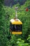 Yellow aerial tramway riding on a cableway over a green forest