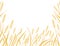 Yellow african savanna grass flat vector illustration on white background