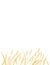 Yellow african savanna grass flat vector illustration on white background vertical design