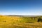 Yellow agricultural fields on the valley, visible small hungarian village