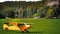 Yellow airplain on the green grass