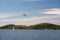 Yellow airplane flying over a lush green shore and a sea with sailboats