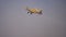 Yellow airtanker flies above wildfire