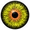 Yellow alien eye with orange ring around the pupil
