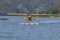 Yellow amphibious seaplane on Lake Casitas, Ojai, California