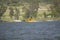 Yellow amphibious seaplane taking off from Lake Casitas, Ojai, California