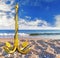 Yellow Ancor on a sandy ocean beach