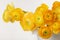 Yellow anemone flower bouquet
