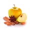 Yellow Apple with Apple Slice, Almond Nuts, Cinnamon Sticks and Anise