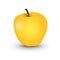 Yellow apple (Golden)