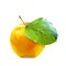 Yellow Apple and leafe isolated with clipping path