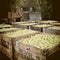 Yellow Apples in Big Wood Crates