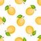 Yellow apricot fruit seamless vector pattern