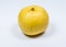 Yellow asian pear fruit on white background.