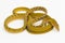 Yellow Asian vine snake hypo Ahaetulla prasina  on white background
