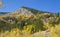 Yellow Aspens and Rocky Knoll