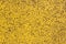 Yellow Asphalt Texture