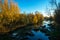 Yellow autumn along the river