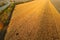 Yellow autumn field of harvested corn next to highway