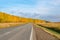 Yellow autumn forest and road with markings, against the blue cloudy sky