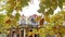 Yellow autumn leaves with merry-go-round in background