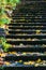 Yellow autumn leaves on stone steps in Dandenong Ranges, Australia