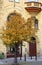 Yellow autumn tree on the background of architecture of Prague